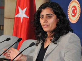 BDP'den anadilde eğitim için araştırma talebi BDP'den anadilde eğitim için araştırma talebi