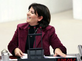 BDP'li Ata ve Kurtulan için TBMM'ne dosya