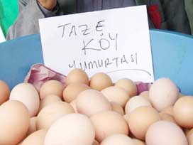 Benzinde köy yumurtalı promosyon!