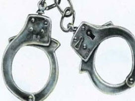 Bismil'de toprak cinayeti: 7 zanlıya 36 yıl hapis