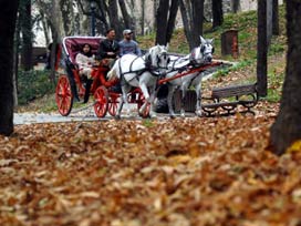 Büyükada'da fayton tamirhanesi yıkıldı 