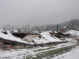 Çiftliğin çatısı kar nedeniyle çöktü civcivler telef oldu 
