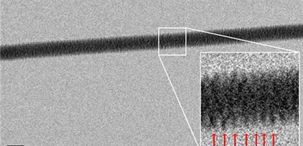 DNA ilk kez doğrudan fotoğraflandı