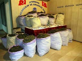 Diyarbakır polisi 1.4 ton esrar ele geçirdi 
