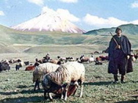 Eğitim verdikleri çobanları sigortalıyorlar