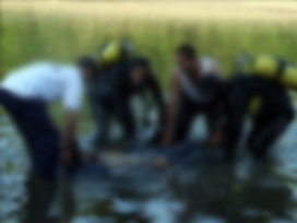 Fırat'ta balık tutan polis boğuldu