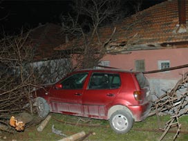 Freni tutmayan otomobil bahçeye uçtu 