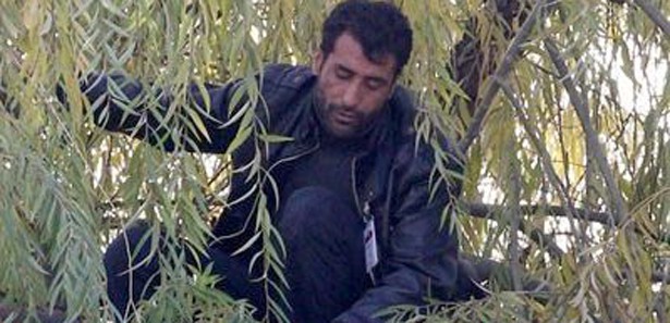 Hakan Şükür'ü bulamayınca Meclis'te ağaca çıktı