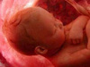 Hamilelikte beslenme bebeğin DNA'sını etkiliyor 