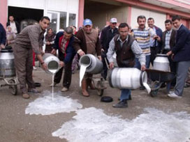 Isparta'da sütleri yola döktüler 