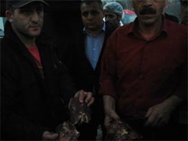 İthal angus cinsi kurbanlığın eti şok etti