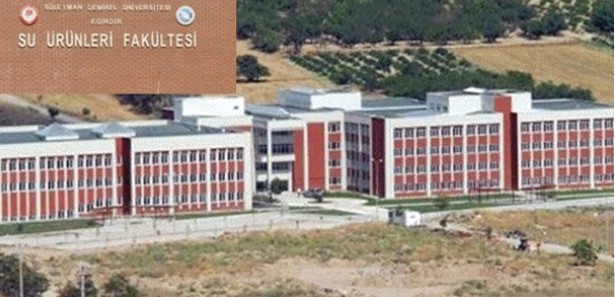 Karşılıksız burs vaadetti ama 1 kişi tercih etti
