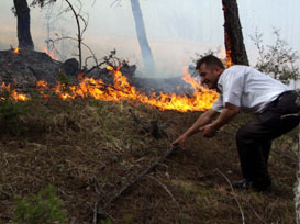 Karabük´te yangın 500 hektarı sardı 