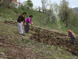 Karadeniz´de kadının çilesi 