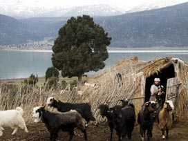 Mada adasında kurbanlar duba ile taşındı