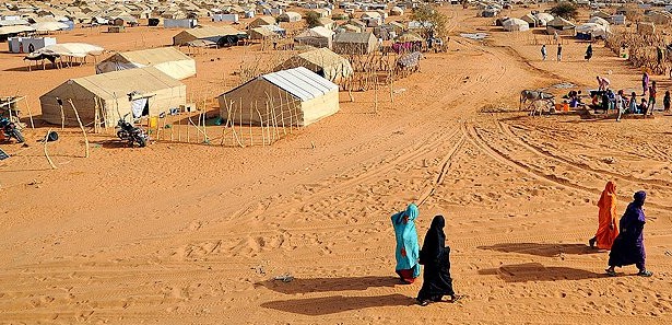 Mali'de savaş yok etnik temizlik var 