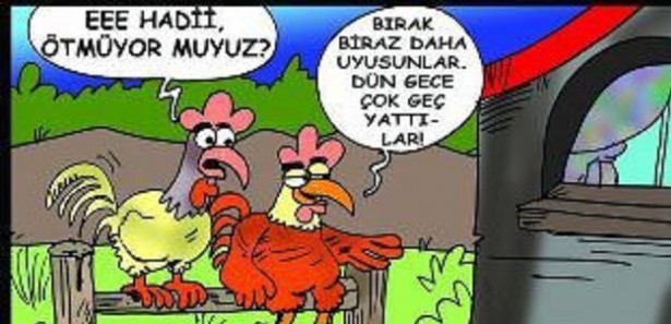 Mehmetçikten kaçan PKK'lıların sığındığı ülke