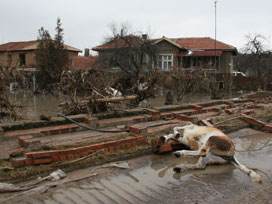 Meriç taştı: 3 Bulgar köyünü su bastı 