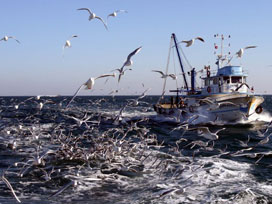 Mersin'deki kayıp balıkçılar bulundu 