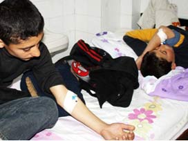 Muğla'da 90 öğrenci hastanelik oldu 