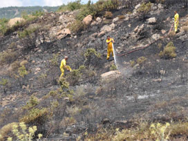 Orman yandı PKK sığınağı açığa çıktı 
