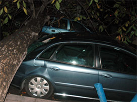 Otomobil ağaçlara çarptı: 1 ölü 