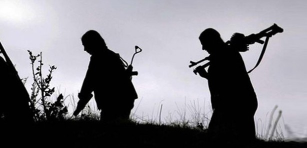 PKK, Nusaybin'de 2 kişiyi kaçırdı 
