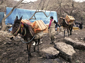 PKK: Ver çocuğunu geç sınırı 