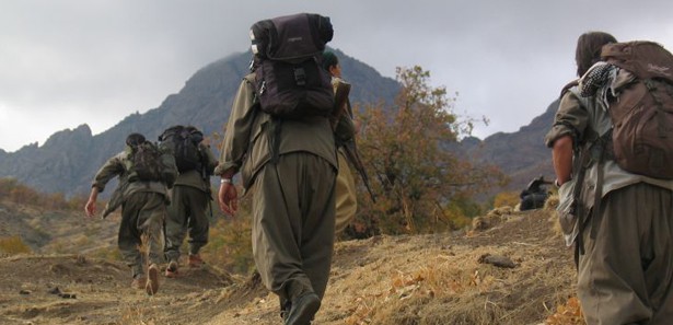 PKK, araç yakıp Müteahhit kaçırdı