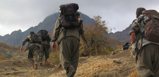 PKK, araç yakıp Müteahhit kaçırdı 