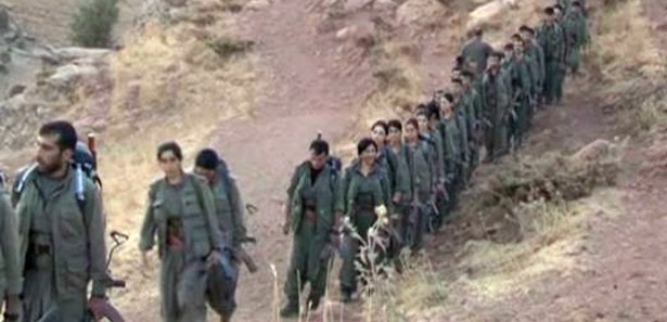 PKK'lılar yeni çekilme fotoğrafı paylaştı 