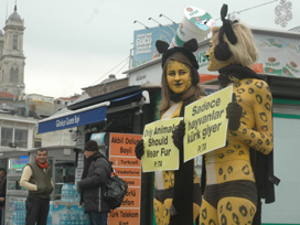 Peta'cılardan Taksim'de çıplak protesto 
