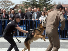 Polis köpeklerinin gösterisi nefes kesti 