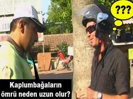 Polisten sürücülere güldüren soru-