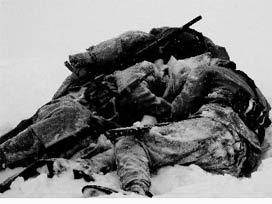 Sarıkakış şehitleri nasıl kardelen oldu