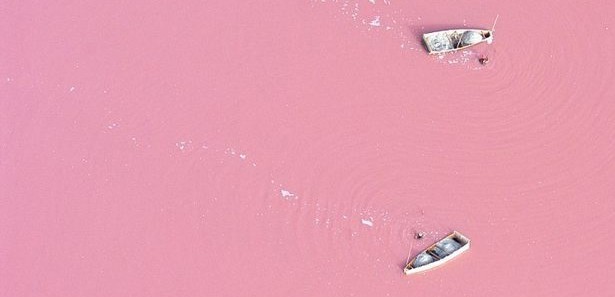 Senegal'in incisi: Pembe göl 