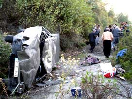 Sürücüyü arı soktu yol kana bulandı