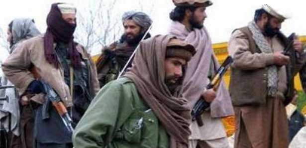 Talibanı'ndan hükümete müzakere sinyali 