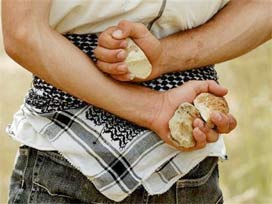 Taş atan çocuğa devlet el koyacak