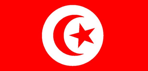 Tunus'ta kurucu meclisin çalışmaları askıya alındı 