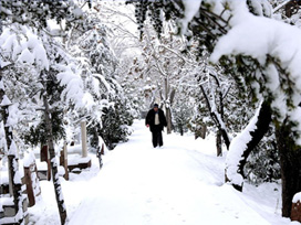 Türkiye'nin dört bir yanından kar manzaraları 