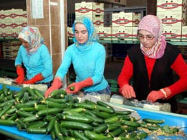 Ukrayna, meyve ve sebze ithalatını durdurabilir 