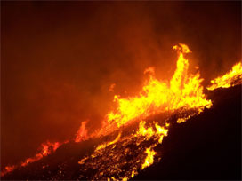 Urla'da orman yangını çıktı 