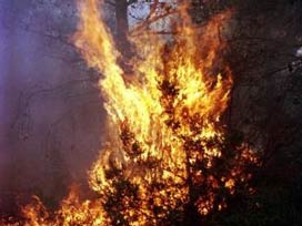 Yıldırımlar 5 ayrı noktada yangın çıkardı Yıldırımlar 5 ayrı noktada yangın çıkardı