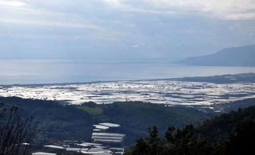 Antalya'nın sera kenti Kumluca!