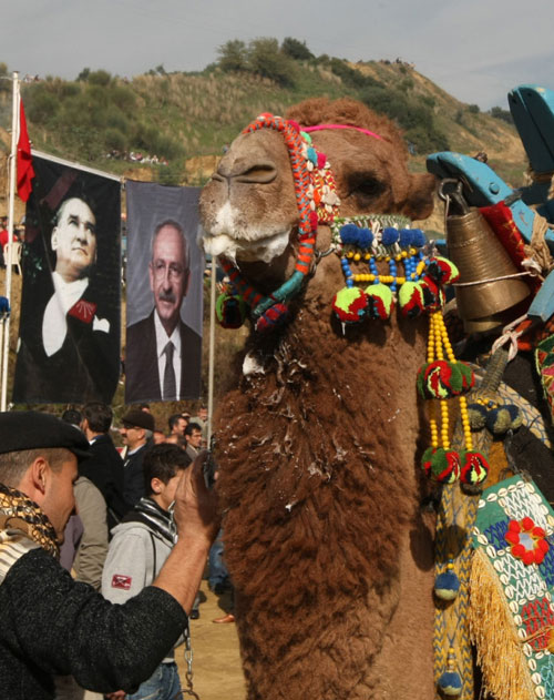 Kılıçdaroğlu deve güreşlerini izledi / GALERİ