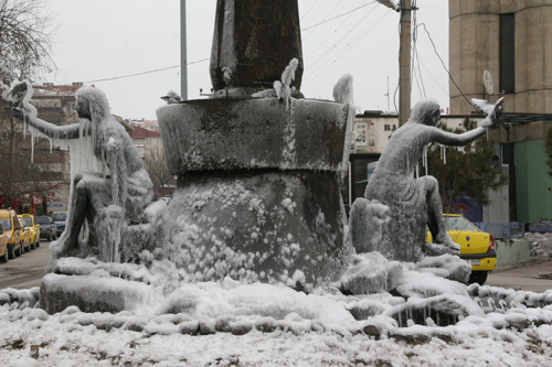 Soğuk hava nedeniyle Edirne'de kuşlar donarak öldü