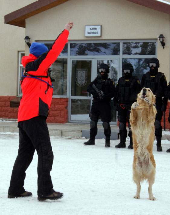 Teröristler Erzurum'u basarsa...