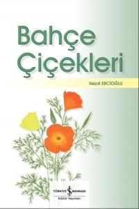 Bahçe Çiçekleri - Nejat Ebcioğlu - Ana Fikri