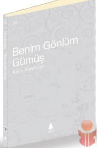 Benim Gönlüm Gümüş - Karin Karakaşlı - Ana Fikri